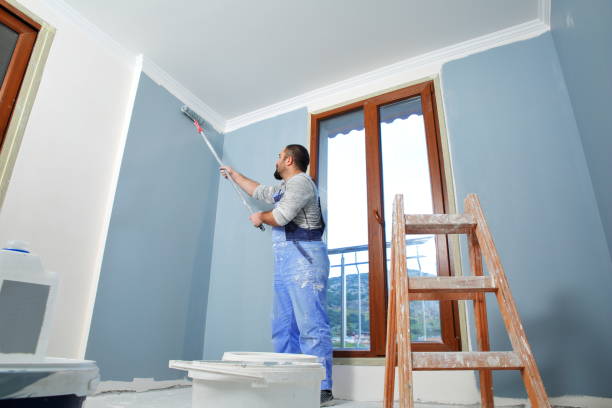 Best Biohazard Mold Removal  in Stoughton, WI