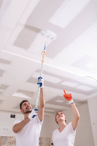 Best Attic Mold Removal  in Stoughton, WI