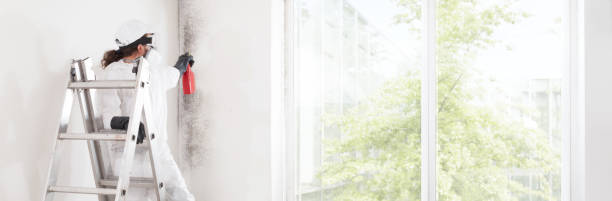 Best Residential Mold Inspection & Testing  in Stoughton, WI